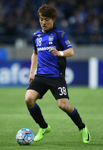 丹麦羽毛球 丹麦羽毛球